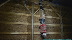 Super Best Collection 15 Esclusiv Clips FutileStruggles.