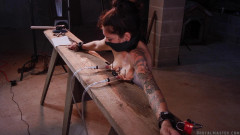 Dog tit nailing & milking