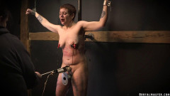 Nothing Screamed In Agony The Entire Time Brutalmaster