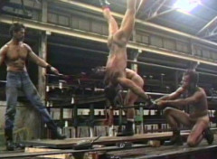 Steel Bondage Collection