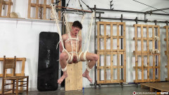 Boynapped Deviant Cock Play - Part 4