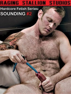 Sounding Vol. 2