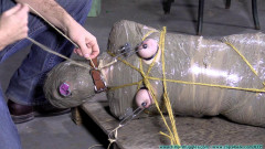 FutileStruggles - Diamondly Captured Mummified for Shipping