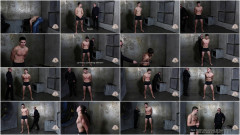 Steve Carter | Download from Files Monster