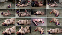 Gia Love Hogzipped  Part 3 Futilestruggles | Download from Files Monster