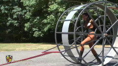 Mobile Walker Wheel | Download from Files Monster