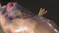 James  Part 3 | Download from Files Monster