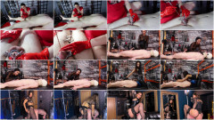 Mixed femdom porn videos part 36 | Download from Files Monster