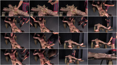 Cole Miller - A Boy for Torture - Chapter 7 | Download from Files Monster