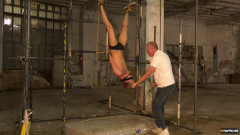 Used As A Punching Bag! | Download from Files Monster