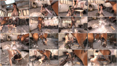 Breaking the Quiet Complete 1-4 Animopron | Download from Files Monster