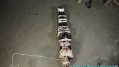 Diamondly 850 - Part 3 | Download from Files Monster