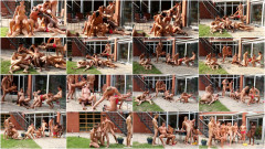 Basking In Bi Part 3 | Download from Files Monster