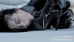 Fetish Slave Studio part FSS19 | Download from Files Monster