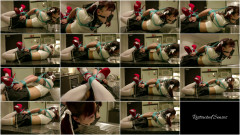 Riding Fraudster - Domination HD | Download from Files Monster