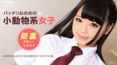 Sexual Harassment Of A Kawai | Download from Files Monster