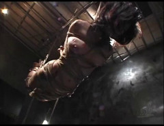 Adv Part 257 | Download from Files Monster