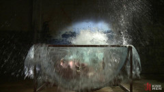 Bringing Back Some of Our Favorites!: The Indestructible Derek Pain | Download from Files Monster