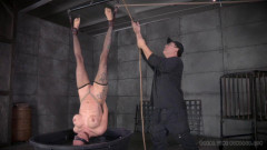 La Cucaracha, Part 2 | Download from Files Monster