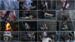 Conjugal Visit | Download from Files Monster