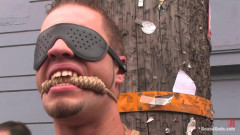 Bonus Update: Van, Wolf and Rico at the 2008 Up Your Alley Fair | Download from Files Monster