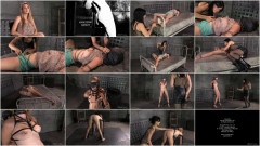 Analyzing Ashley - Ashley Lane | Download from Files Monster