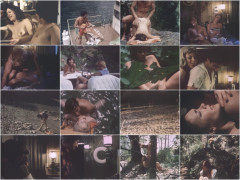 Summer in Heat (1979) | Download from Files Monster