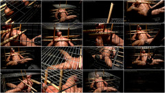 Muscle Dungeon Games - Part 3 Short Hair and Cock and Ball Torture | Download from Files Monster