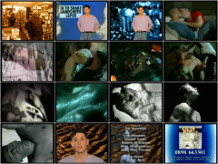 The Gay Man's Guide to Safer Sex | Download from Files Monster