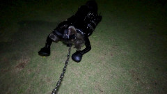 Fantia - Lemon - Clip 44 | Download from Files Monster