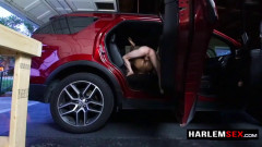 Harlemsex Bareback fucking in the car | Download from Files Monster