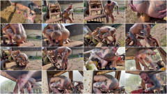 Teddy Bryce Outdoor with the Toy | Download from Files Monster