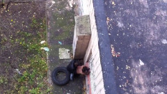 Drone recording sex in street | Download from Files Monster