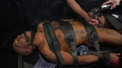 The Curious PA: Newbie Micah Martinez gets taught a lesson! | Download from Files Monster