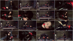 Tickled & Tormented | Download from Files Monster