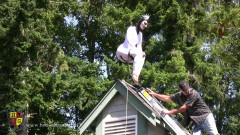 White Legorn | Download from Files Monster