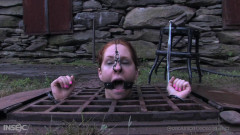 RTB Ice Pony Part 2 - Calico | Download from Files Monster