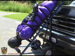 Trussed, Trollied and Trucked | Download from Files Monster