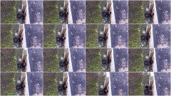 Drone recording sex in street | Download from Files Monster