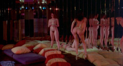 Night Bird (1977) | Download from Files Monster