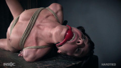 Foxy Jesus - Vera King | Download from Files Monster