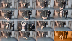 Willie King | Download from Files Monster