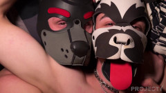 ProjectYstudios Sketchy Pups Part 2 Late Night Raw Hookup | Download from Files Monster