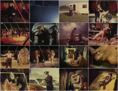 La Foire Aux Sexes 1973's Part 5 | Download from Files Monster