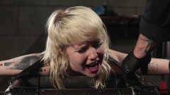 Pounded and Sounded | Download from Files Monster