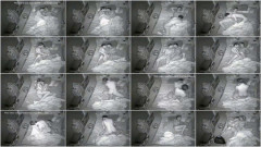 Spycam - Cute Boyfriends Having Sex In The Middle Of The Night | Download from Files Monster