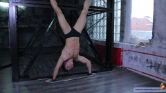 Luis Johnson | Download from Files Monster