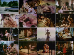 800 Fantasy Lane (1979) Movies | Download from Files Monster