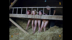 Farm part 3 | Download from Files Monster