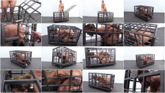 Beauties love bullying their bodies vol. 690 - Full HD 1080p | Download from Files Monster